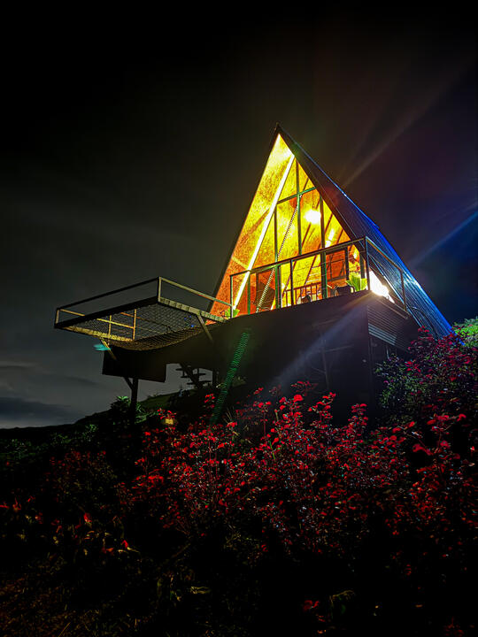 La cabaña iluminada de noche entre flores